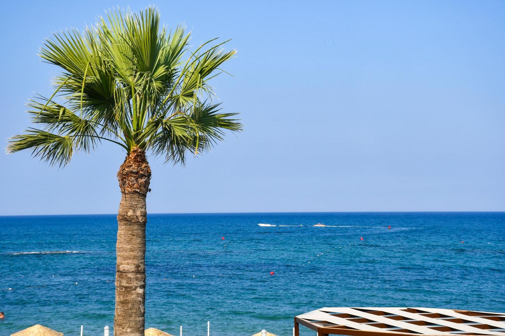 Mimoza Beach Hotel Agios Sergios Zewnętrze zdjęcie